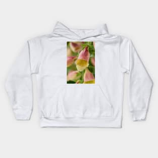 Digitalis  &#39;Polkadot Pandora&#39;  Foxglove Kids Hoodie